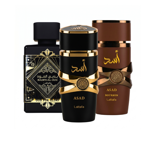 Sada 3 Parfémů | Qaed Al Fursan + Lattafa Asad + Afnan 9PM 100 ml